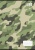 Zošit, A4, štvorčekový, 32 listov, COOL BY VICTORIA "Camouflage", "87-32"