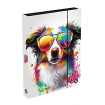 Box na zošity A4 JUMBO Pes