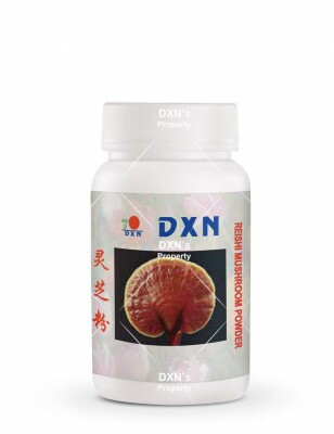 Reishi Mushroom Powder 22G  22g