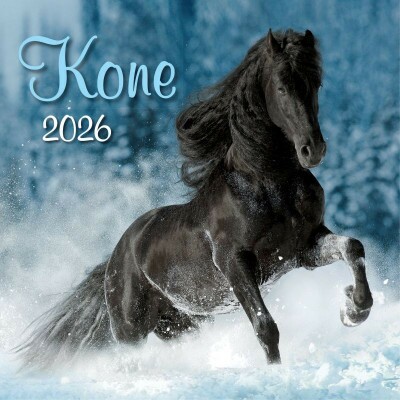 Kone N53