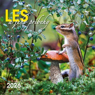 Les a jeho príbehy N27